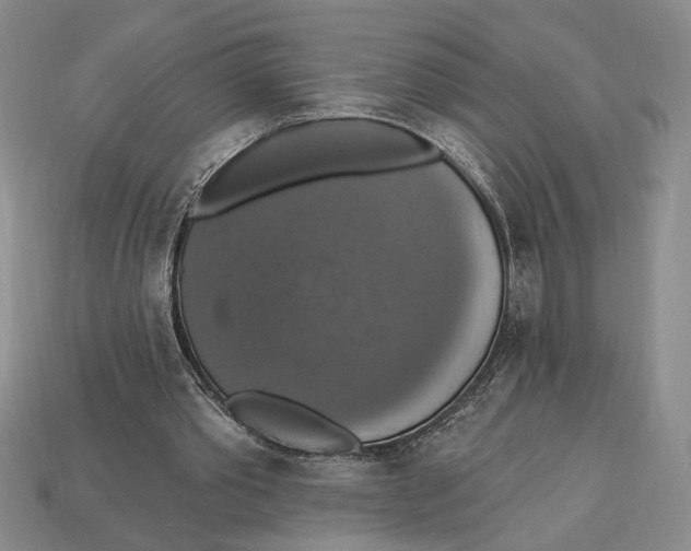 X0000112910389200909211036