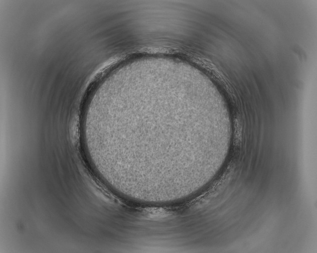 X0000112910392200909211035