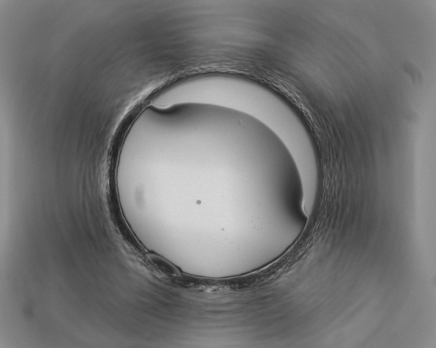 X0000112910395200909211035