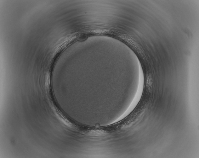 X0000112910397200909211035