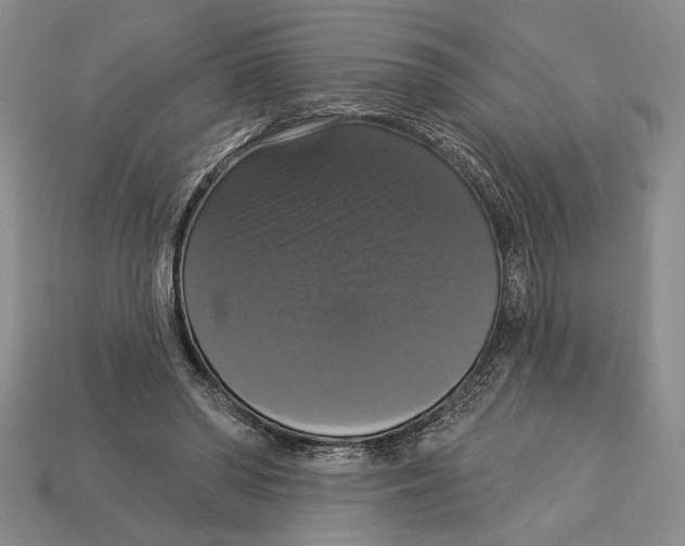 X0000112910398200909211035