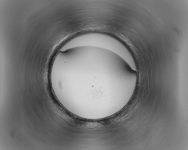 X0000112910399200909211035