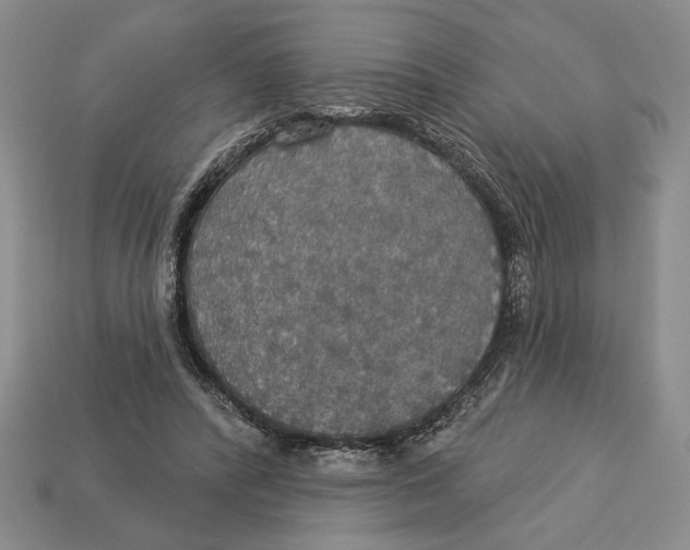 X0000112910400200909211035