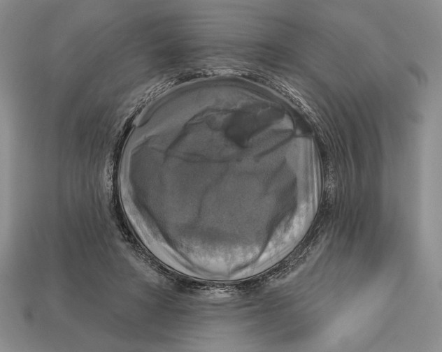 X0000112910402200909211035