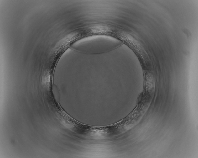 X0000112910405200909211035