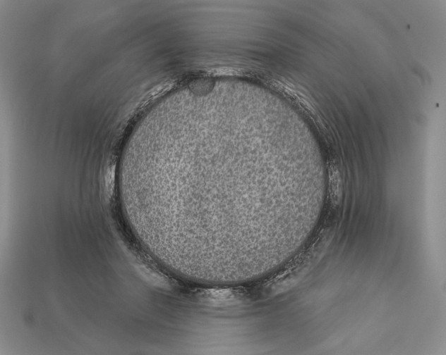 X0000112910406200909211035