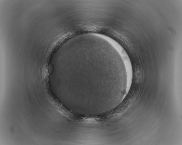 X0000112910407200909211035