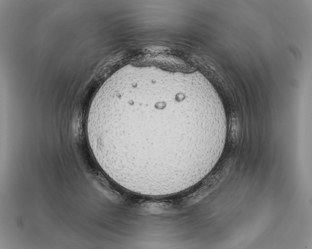 X0000112910408200909211035