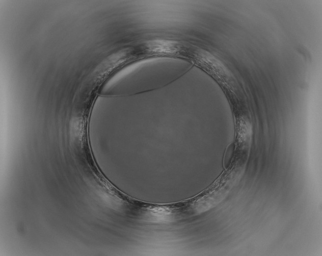 X0000112910409200909211035