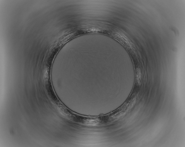 X0000112910410200909211035