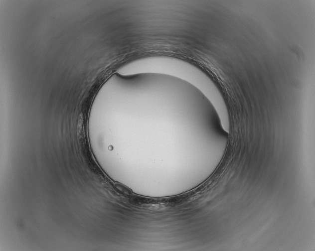 X0000112910411200909211035