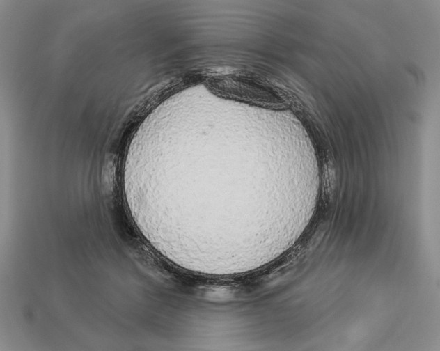 X0000112910412200909211035