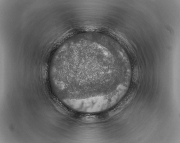 X0000112910413200909211035
