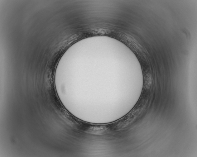X0000112910414200909211035