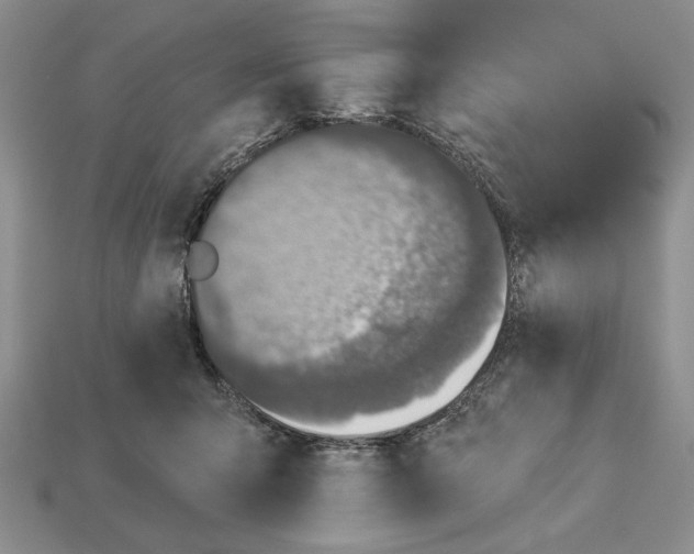 X0000112910415200909211035