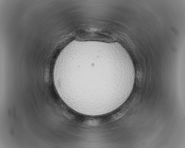 X0000112910416200909211035