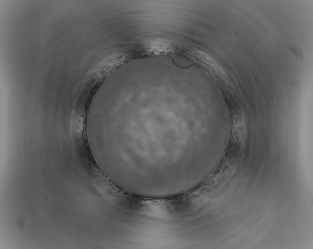 X0000112910417200909211035