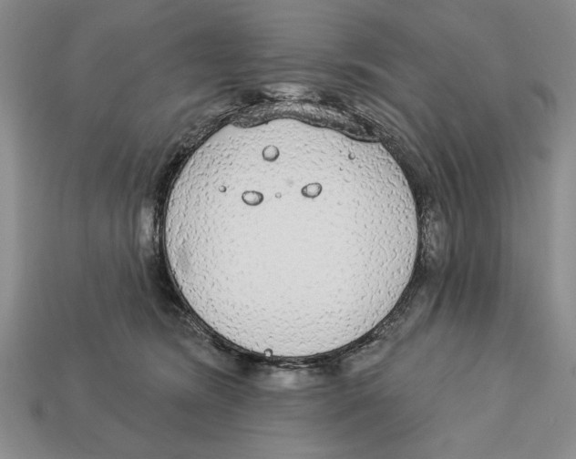 X0000112910420200909211035