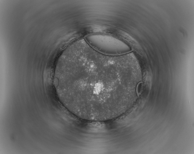 X0000112910421200909211035