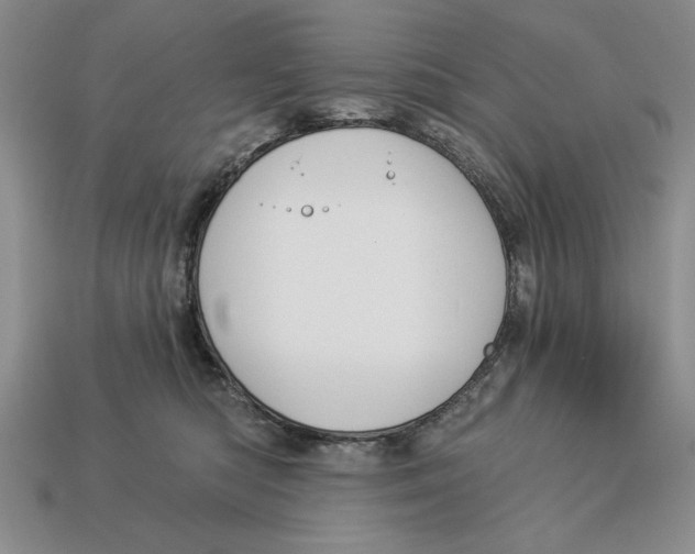 X0000112910422200909211035