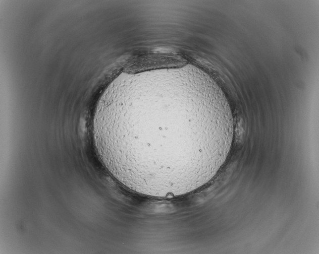 X0000112910424200909211035