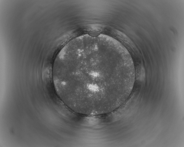 X0000112910425200909211035