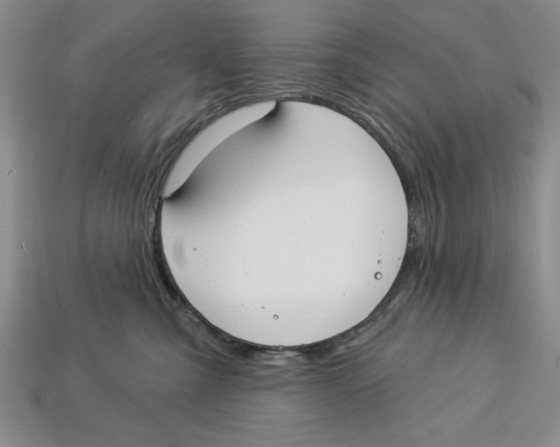 X0000112910427200909211035