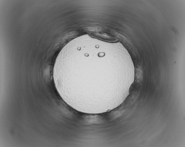 X0000112910428200909211035