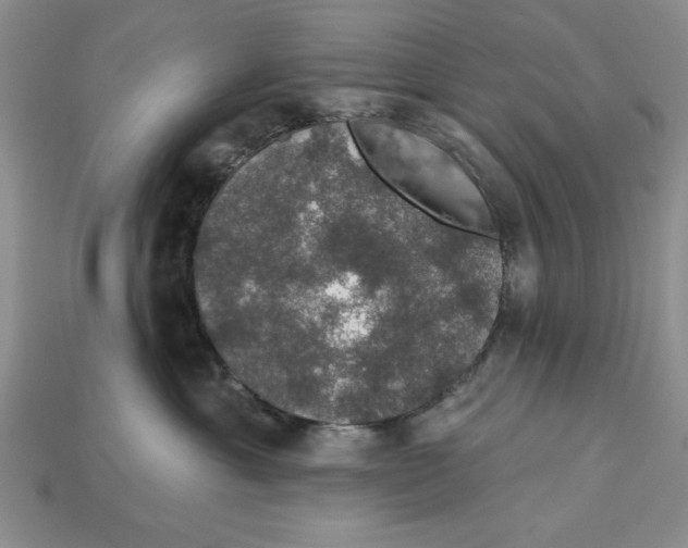 X0000112910429200909211035