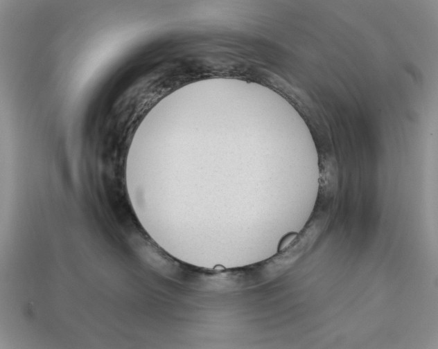 X0000112910430200909211035