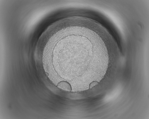 X0000112910431200909211035