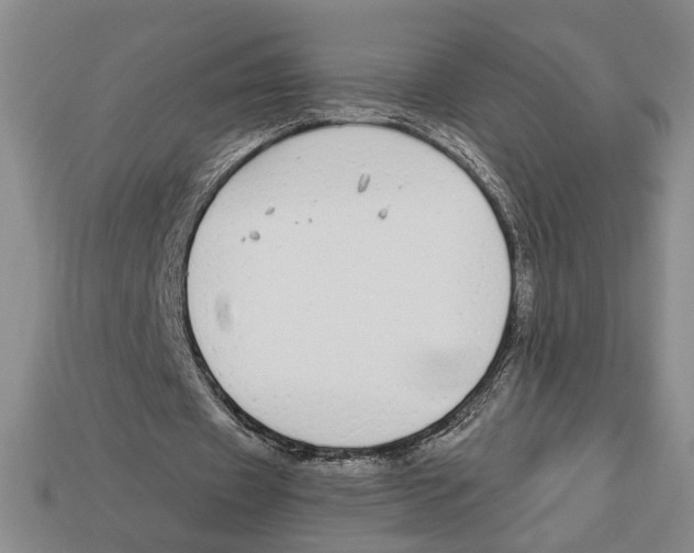 X0000112910433200909211034
