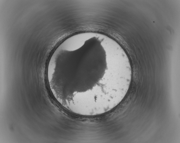 X0000112910434200909211034