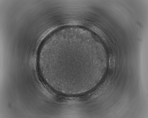 X0000112910436200909211034