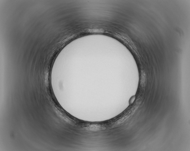 X0000112910441200909211034