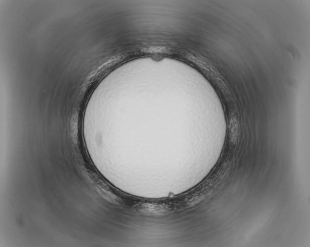 X0000112910442200909211034