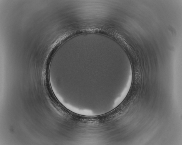 X0000112910443200909211034