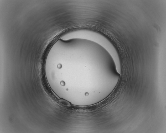 X0000112910444200909211034