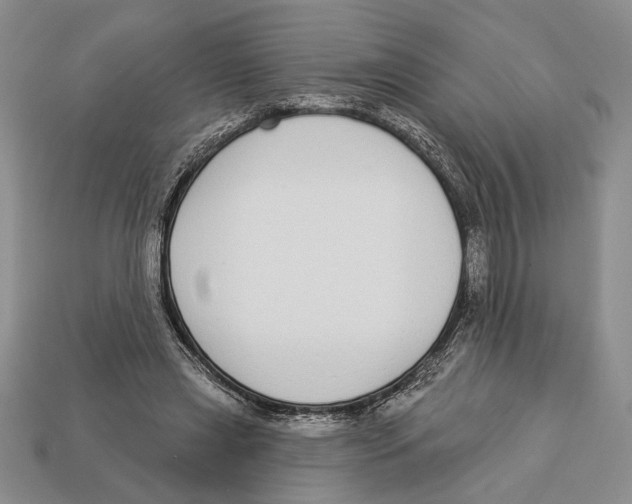 X0000112910445200909211034