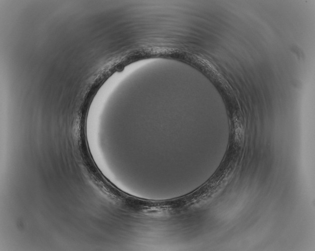 X0000112910447200909211034