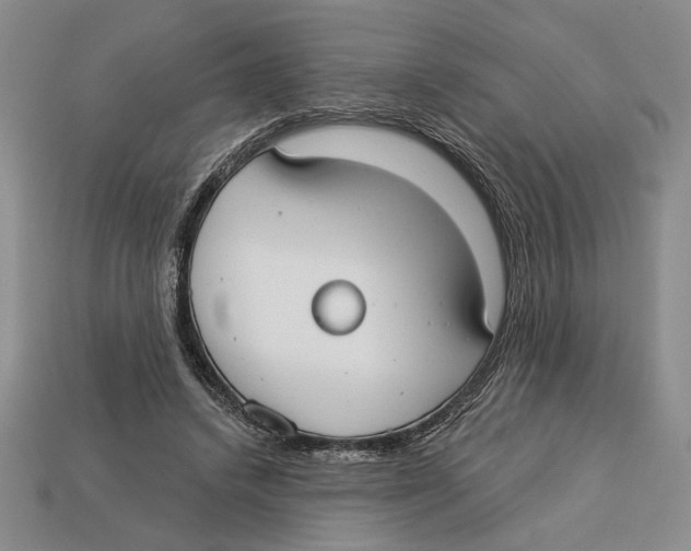 X0000112910448200909211034