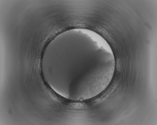X0000112910449200909211034