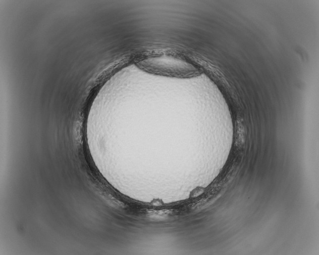 X0000112910450200909211034