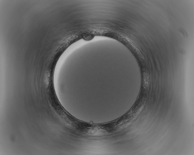 X0000112910451200909211034