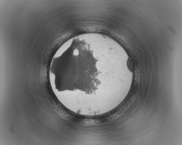 X0000112910453200909211034