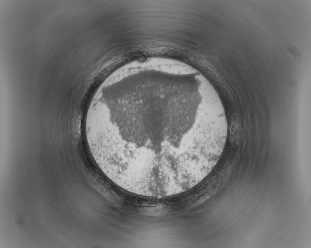 X0000112910454200909211034