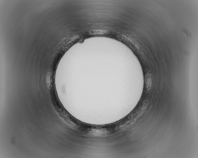 X0000112910455200909211034