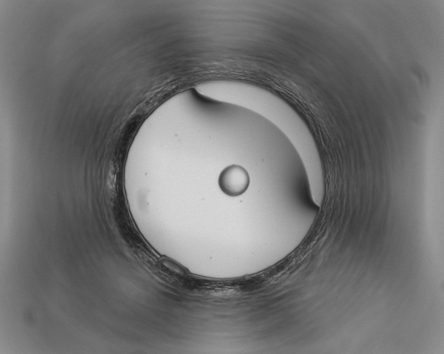 X0000112910456200909211034