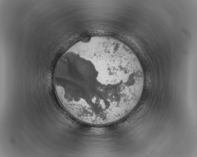 X0000112910457200909211034