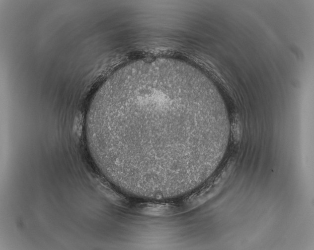 X0000112910458200909211034